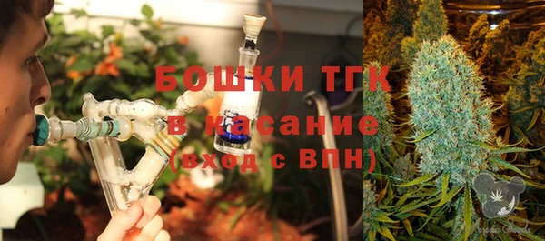 ПСИЛОЦИБИНОВЫЕ ГРИБЫ Краснослободск